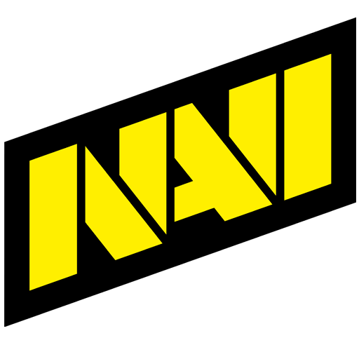 Natus Vincere, teams